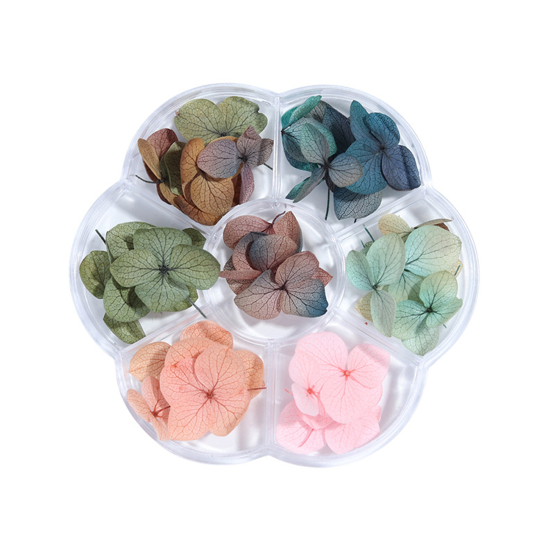 Colors Nail Dried Flowers