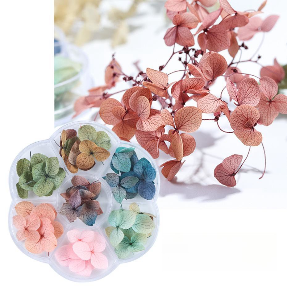 Colors Nail Dried Flowers